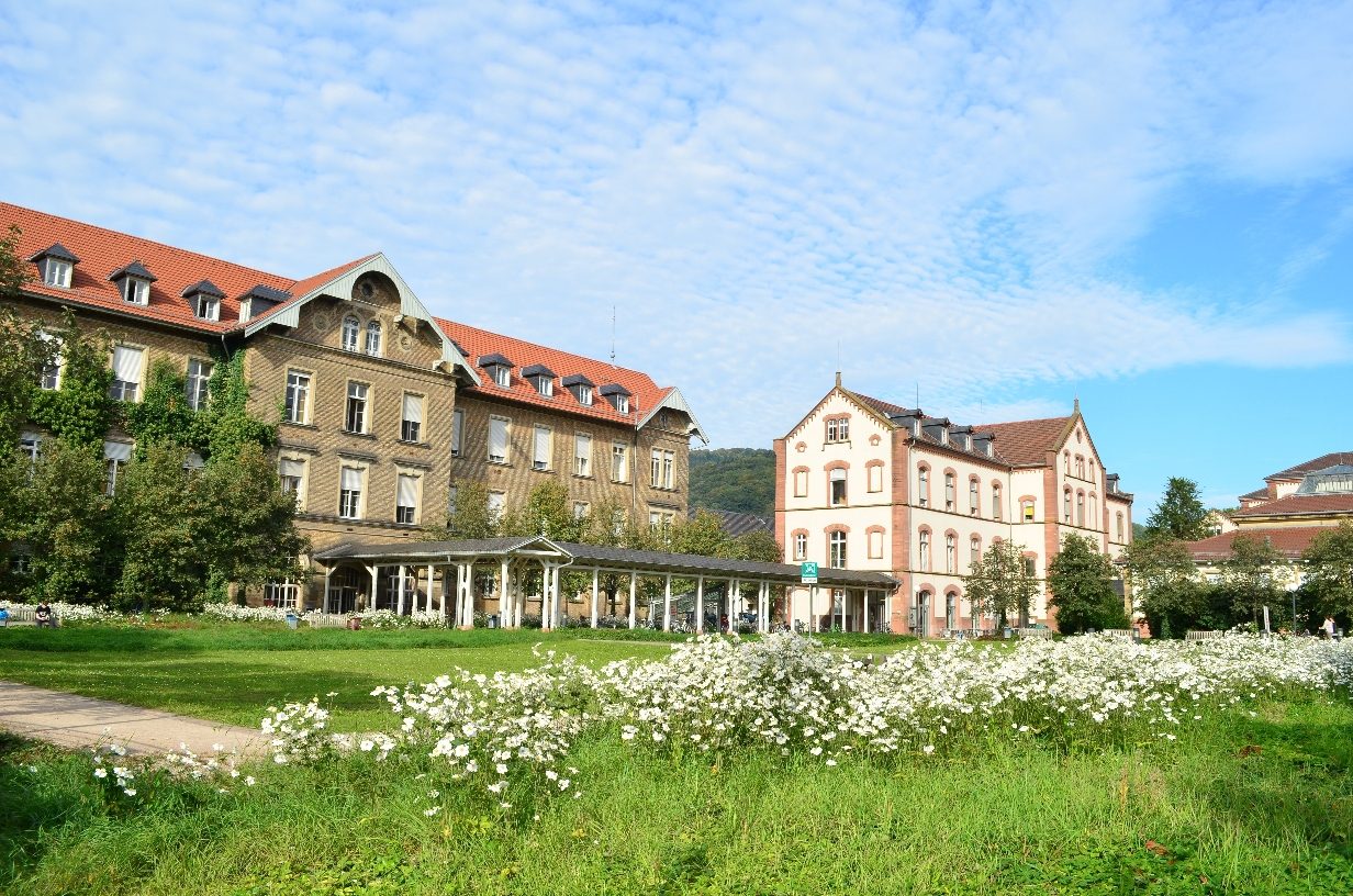 Medizinische Fakultaet Heidelberg Universitaet by Estefania Etcheves (4).JPG